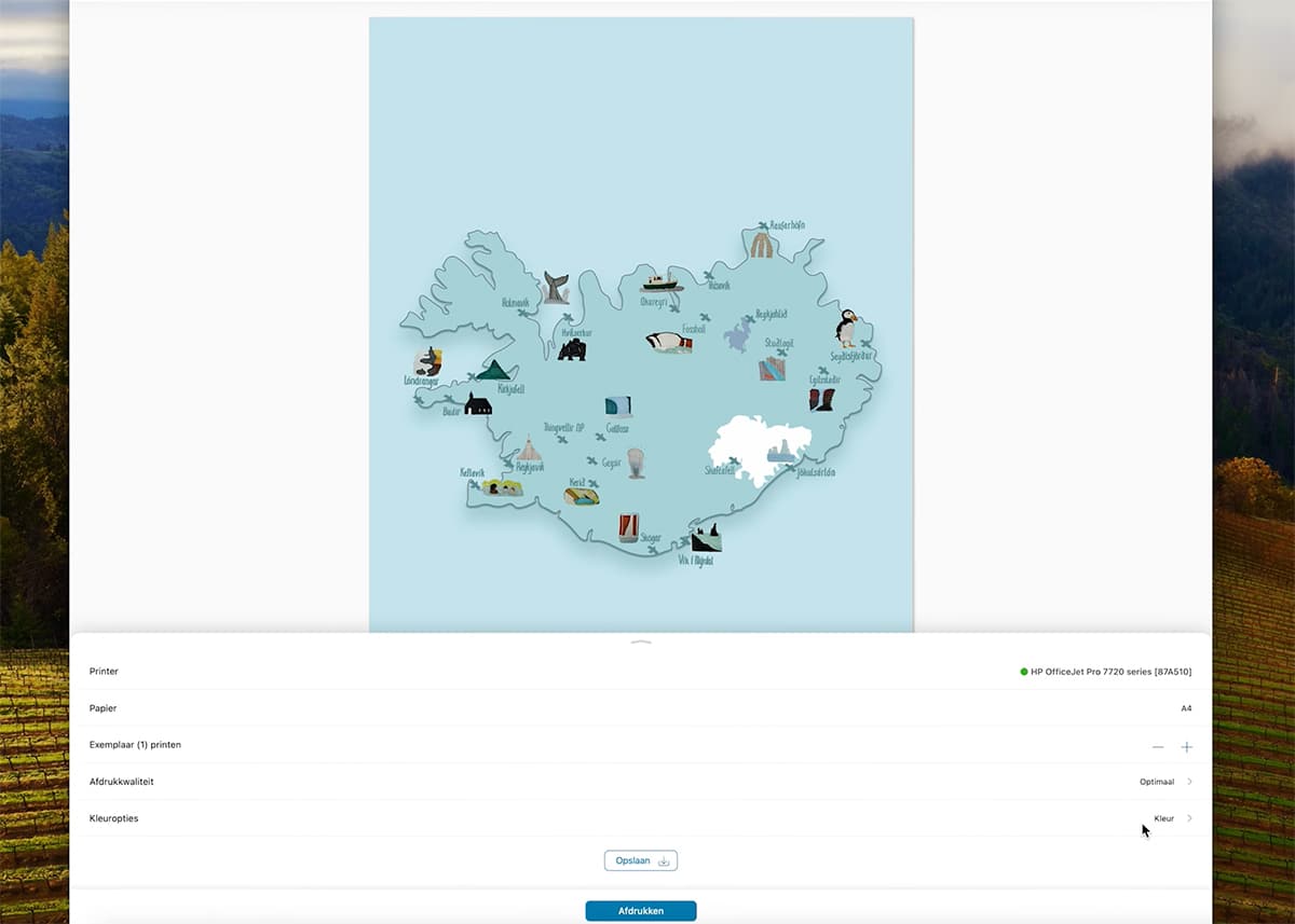 screenprint of a desktop print app where you can select paper size, amount of prints, print quality and color options